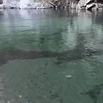 Da Nonna Pina * Cossogno